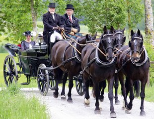 Vierspänner in Dinkelsbühl