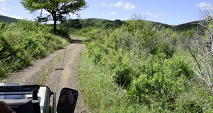 Safariefahrt im Hluhluwe-iMfolozi-Nationalpark