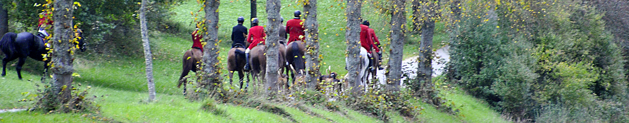 Herbstjagd